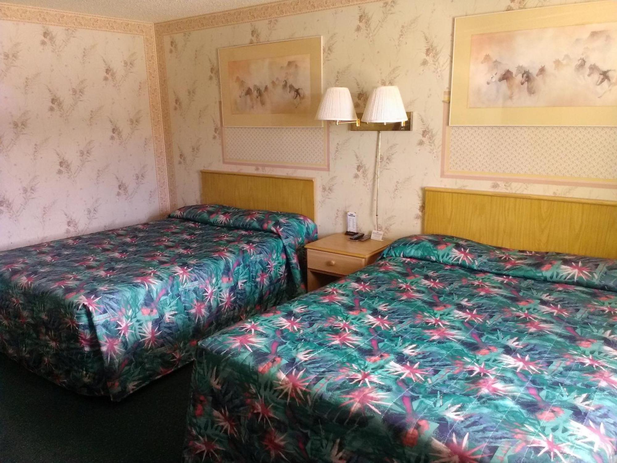 Motel 8 Willcox Room photo
